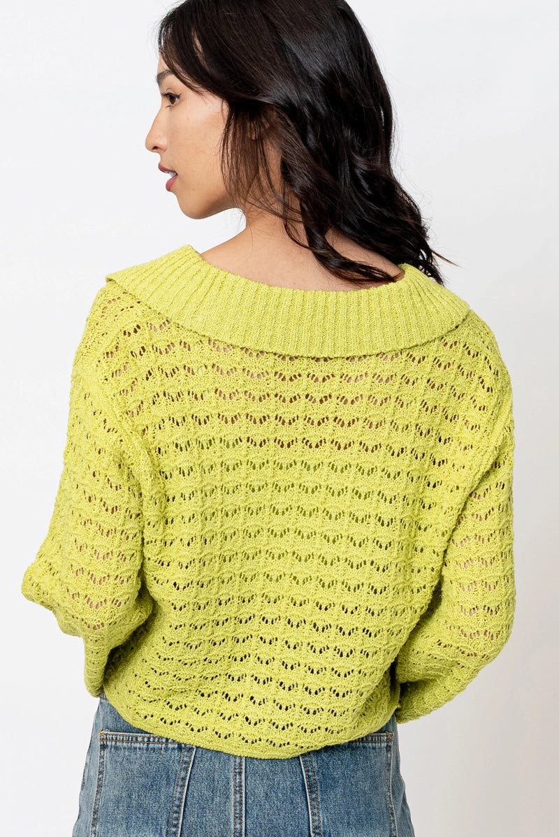 Lime in the Coconut Cropped Crochet