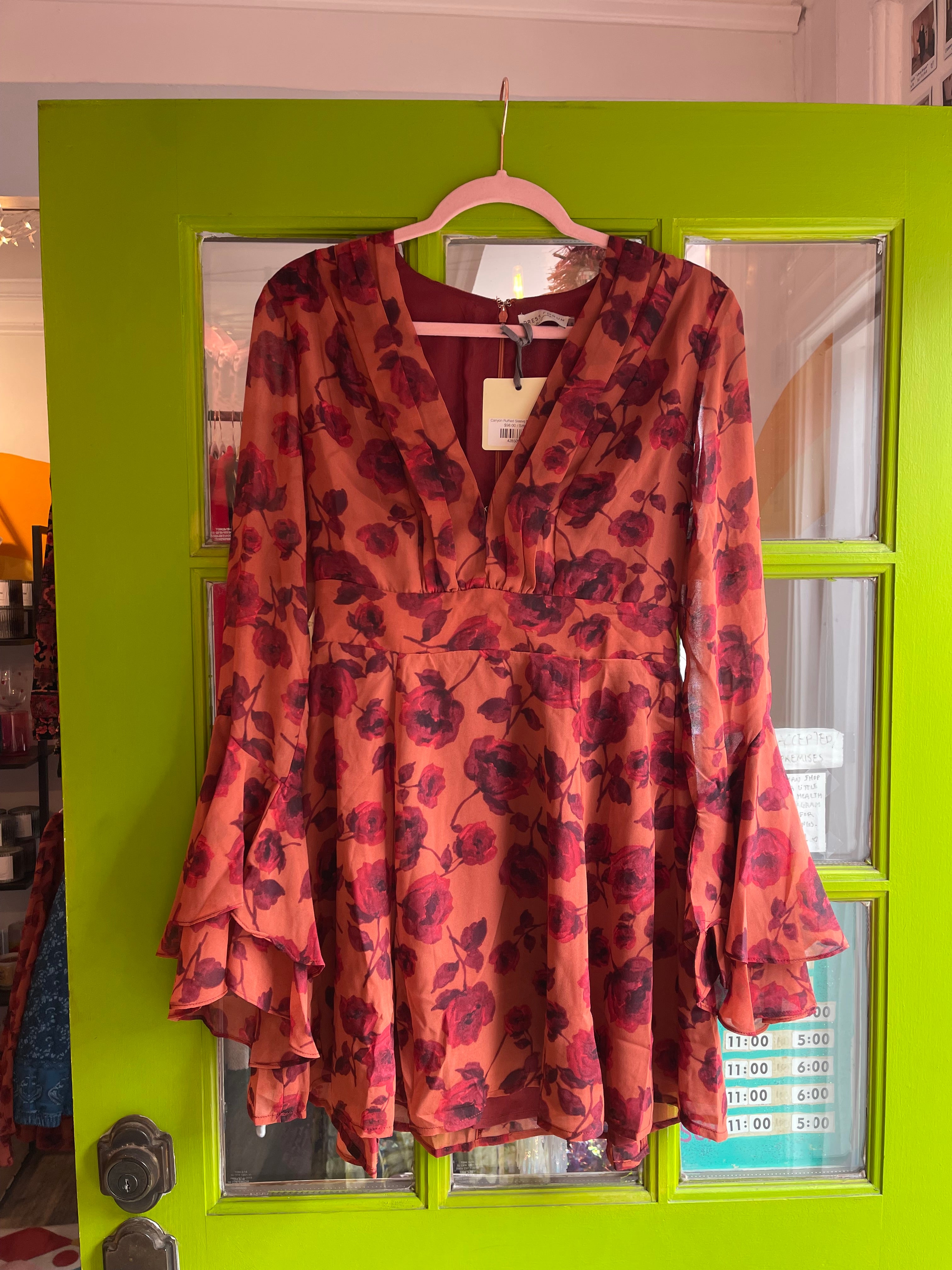 Canyon Ruffled Sleeve Mini Dress