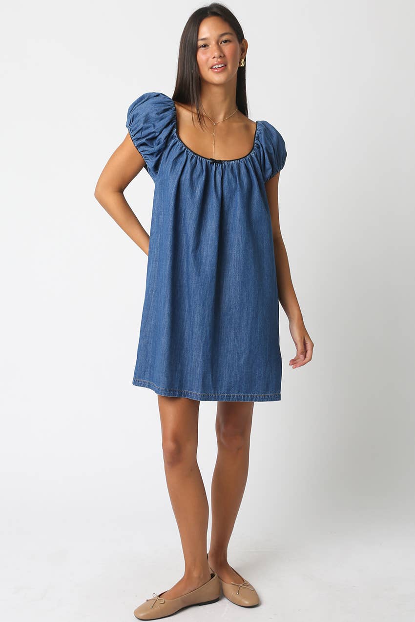 Sasha Denim Babydoll Dress