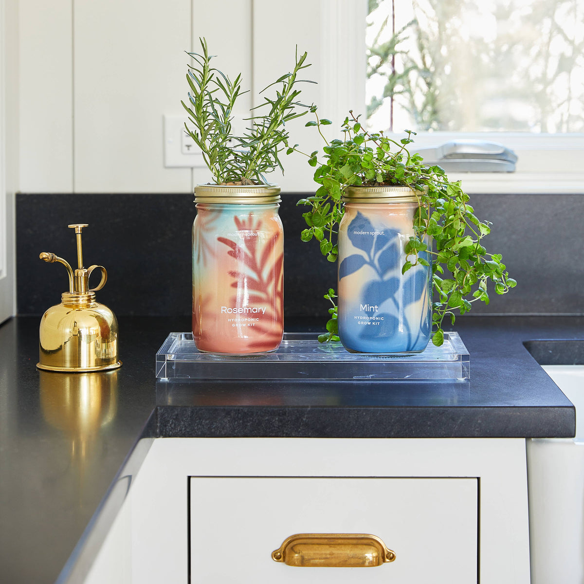 Herb Garden Jar