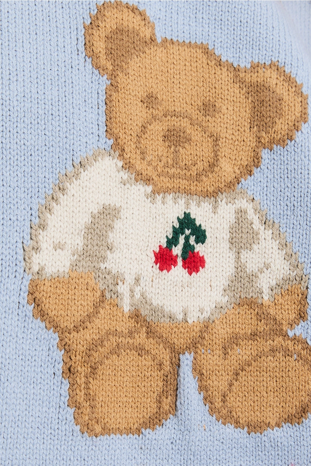 Teddy Bear Knit Pullover