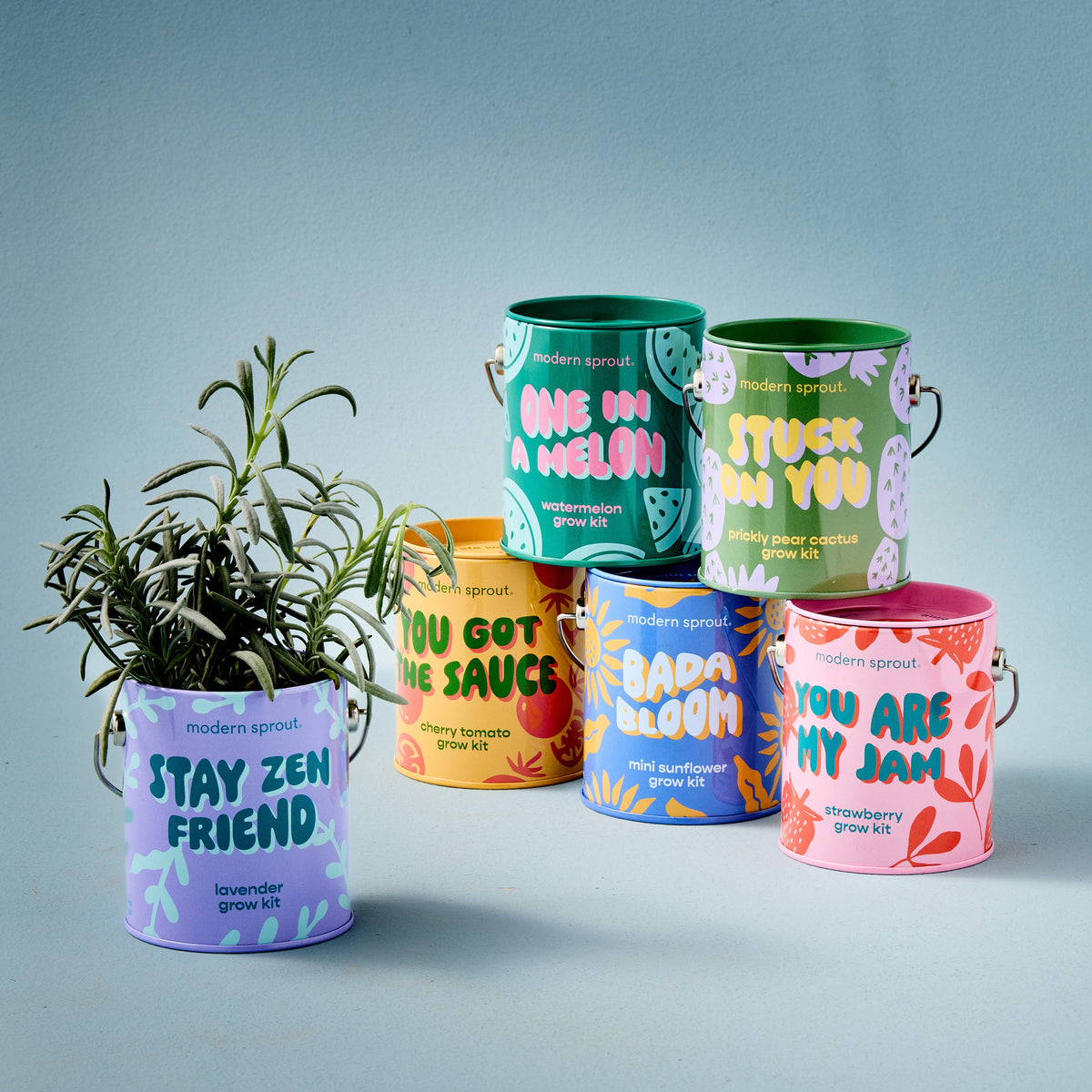 Complimentary Color Grow Kits