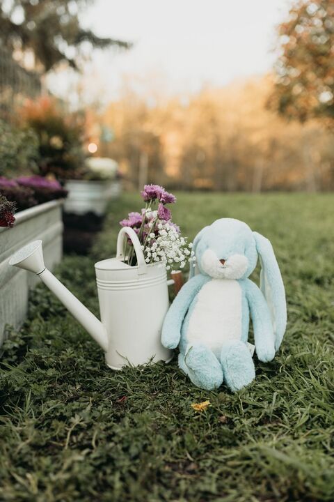 Little Floppy Nibble 12" Bunny - Blue