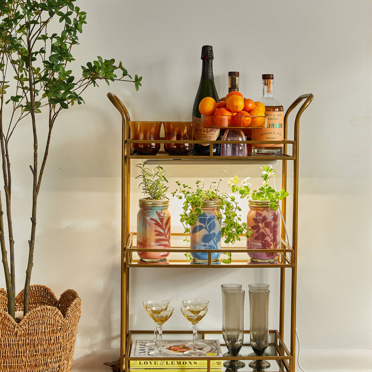 Herb Garden Jar